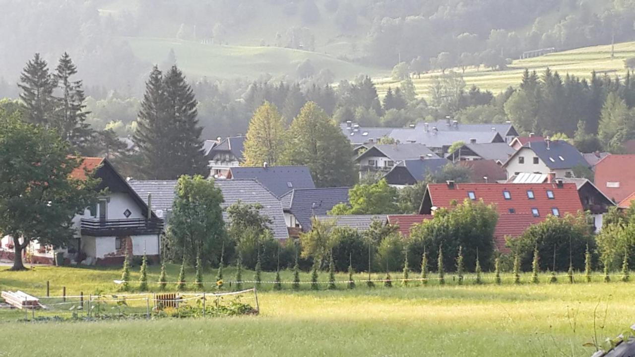 The Oldmillhouse Villa Mojstrana Buitenkant foto