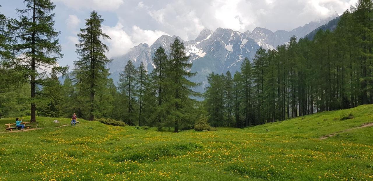 The Oldmillhouse Villa Mojstrana Buitenkant foto