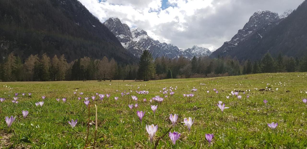 The Oldmillhouse Villa Mojstrana Buitenkant foto