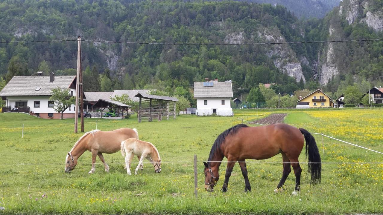 The Oldmillhouse Villa Mojstrana Buitenkant foto