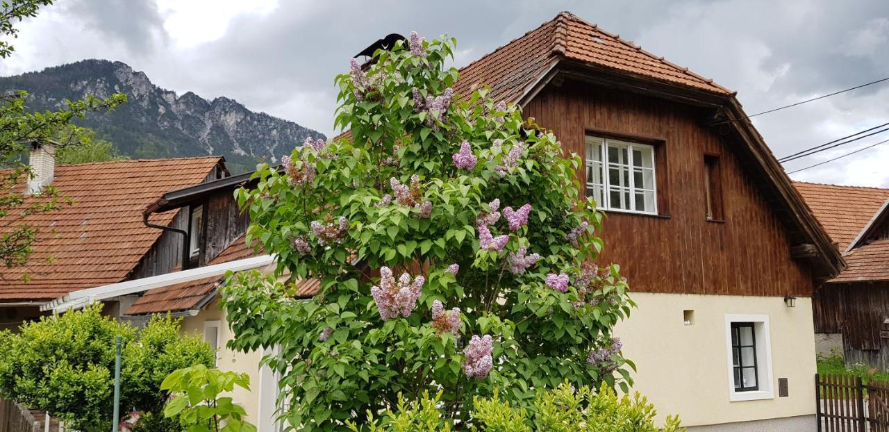The Oldmillhouse Villa Mojstrana Buitenkant foto